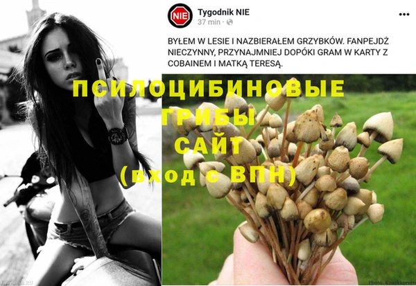 марки nbome Аркадак