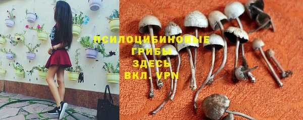 винт Алексин