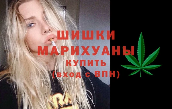 молекула духа Арсеньев
