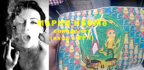 молекула духа Арсеньев