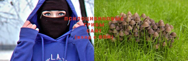 скорость Корсаков