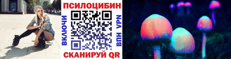 Псилоцибиновые грибы Psilocybe  Купить  Благодарный 